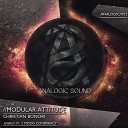 Christian Bonori - Modular Attitude Moog Conspiracy Remix