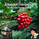 Дмитрий Татарников - Никто не забыт