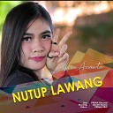 ALVI ANANTA - Nutup Lawang Koplo Version