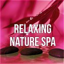 Spa Massage Solution - Spa Wellness Music