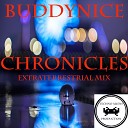 Buddynice - Chronicles Extraterrestrial Mix