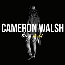 Cameron Walsh - Heartstrings
