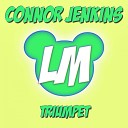 Connor Jenkins - Triumpet Original Mix