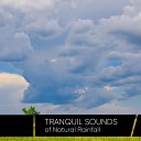 Tranquil Music Sounds of Nature - Light Showers