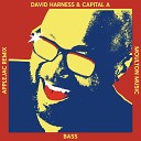 David Harness feat Capital A - Bass Applejac s Unhooked Generation Instrumental…