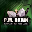 P M Dawn - How Can I Not Feel Love