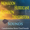 The Suntrees Sky - Typhoon Sounds with Thunder Claps