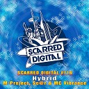 M Project Sc r MC Vibrance - Hybrid Original Mix