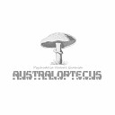 Australoptecus - Flamingos Original Mix