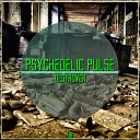 Psychedelic Pulse - Destroyer Original Mix