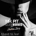 Mr Pit Sean Norvis feat Justine Berg - Afraid To Feel Ibiza Sun of A Beach Remix