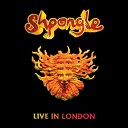 Shpongle - My Head Feels like a Frisbee Live