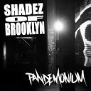 Shadez Of Brooklyn - Everyday Livin