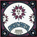 Andromeda - Walking On