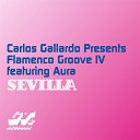 Flamenco Groove IV Carlos Gallardo feat Aura - Sevilla