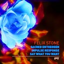 Felix Stone - Say What You Want Federico Giust Remix