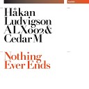 Hakan Ludvigson ALX002 Cedar M - Nothing Ever Ends Radio Edit