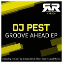 Dj Pest - I Am The Music Steel Grooves Remix