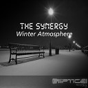 the synergy - winter