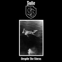 Falle - Despite The Storm