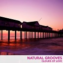 Natural Grooves - Revive Original Mix