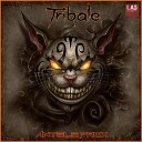 Antele Prox - Tribale Original Mix