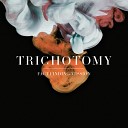 Trichotomy - Strom