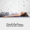 Mantra Yoga Music Oasis Nature Sounds for Sleep and Relaxation Sleep Sound… - Chillout