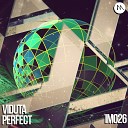Viduta - Perfect Original Mix