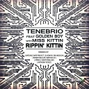 Tenebrio Miss Kittin feat Golden Boy - Rippin Kittin David Frallar Remezcla