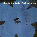 The Darling Buds - Think Of Me