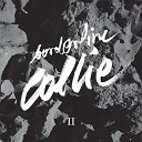 Borderline Collie - Dazed and Fused