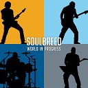 SoulBreed - Throw the Stone