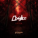 Oxylice - Prism Original Mix