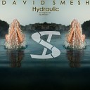 David Smesh - Hydraulic (DNB Edit)