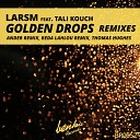 LarsM feat Tali Kouch - Golden Drops Ander Remix