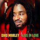 Diko Marley - Live in Love