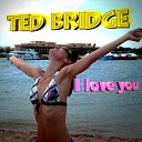 Ted Bridge - Chords of Life Electro Radio Cut