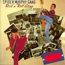 Spider Murphy Gang - So a sch ner Tag Live