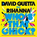 David Guetta feat Rihanna - Who s That Chik