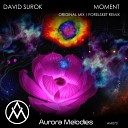 David Surok - Moment Original Mix