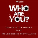 Ignite, DJ Swank feat. Molebogeng Mothlamme - Who Are You? (Instrumental Mix)