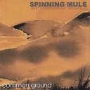 Spinning Mule - One Embrace