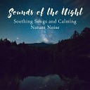 Inspiring Dreams Academy - The Sound of Silence