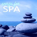 Spa in Space - Spring for Tai Chi and Reiki Oriental Music for…
