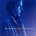 David Olney - Eye Of The Storm