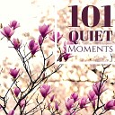 Quiet Moments - Chair Yoga Yoga for Seniors