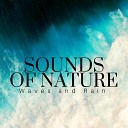Sounds of Nature White Noise Relaxation… - Wait for the Healing