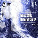 Dual Soul feat Incatoollbox - Inca Feat Toollbox Original Mix