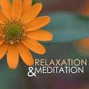 Meditation Ambient Relaxation - Asian Duduk Songs